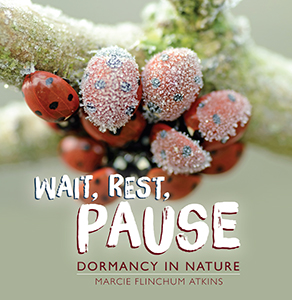 Cover Art for Wait, Rest, Pause: Dormancy in Nature