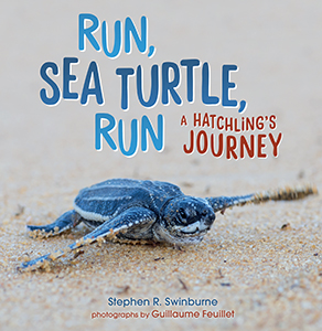 Cover Art for Run, Sea Turtle, Run: A Hatchling's Journey