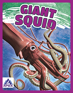Cover Art for Giant Squid