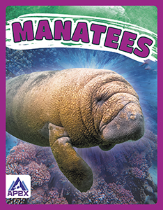Cover Art for Manatees