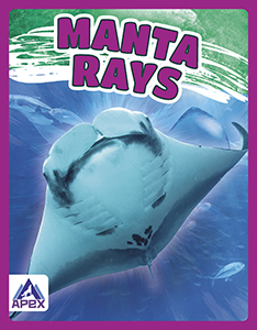 Cover Art for Manta Rays