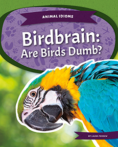 Cover Art for Birdbrain: Are Birds Dumb?