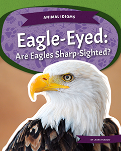 Cover Art for Eagle-Eyed: Are Eagles Sharp-Sighted?