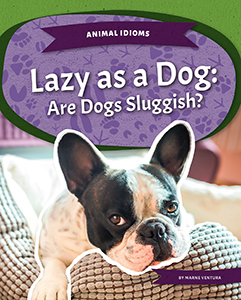 Cover Art for Lazy as a Dog: Are Dogs Sluggish?