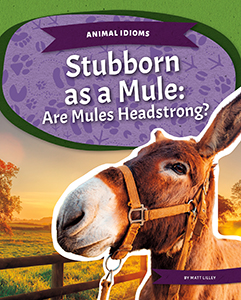 Cover Art for Stubborn as a Mule: Are Mules Headstrong?
