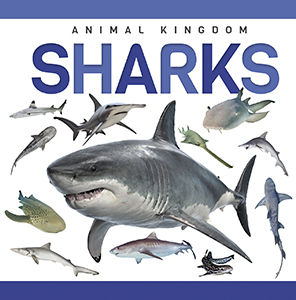 Cover Art for Sharks