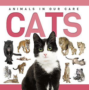 Cover Art for Cats