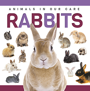 Cover Art for Rabbits
