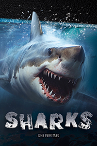 Cover Art for Sharks